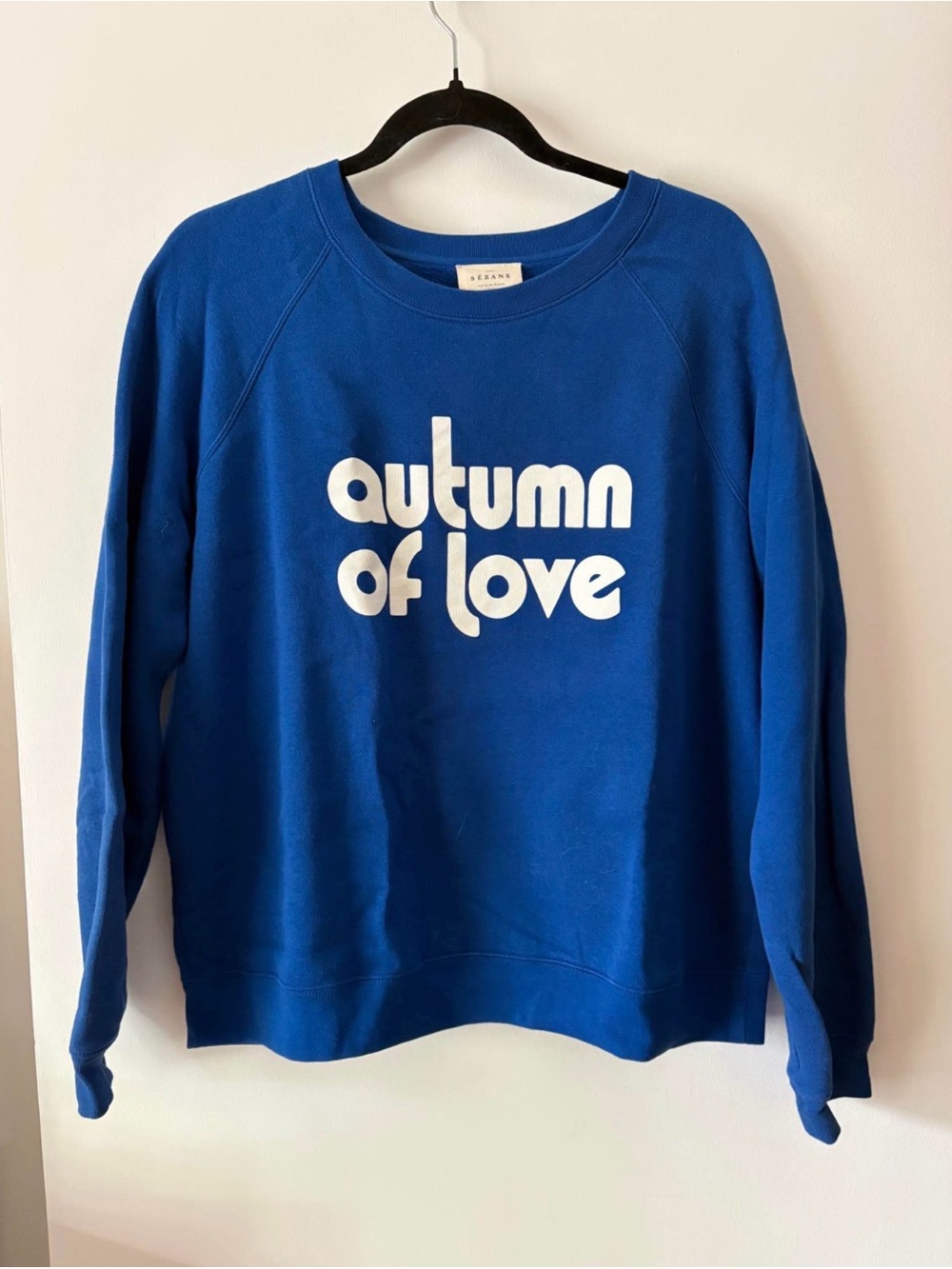 Sezane Blue "Autumn of Love" Crewneck Sweatshirt